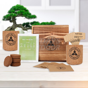 Стартовый набор бонсай из семян мини-дерева, деревянная подарочная коробка