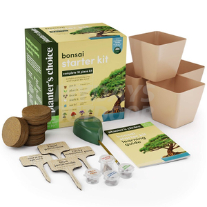 Начальный набор для выращивания бонсай Садовые поделки для выращивания бонсай