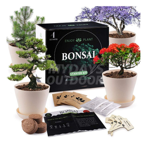 Набор для выращивания бонсай - Стартовый набор для деревьев бонсай премиум-класса